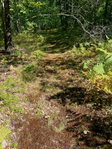 17 Middle Road Back Edge