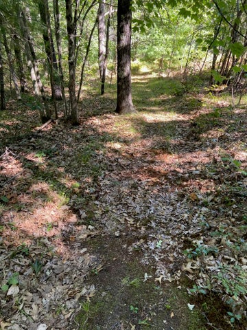 17 Middle Road Back Edge of Property